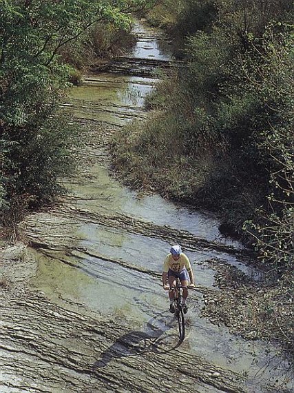 Le cyclotourisme et la nature